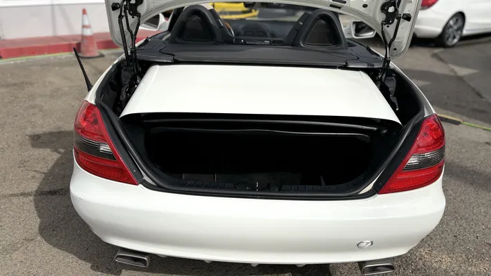 2010 MERCEDES-BENZ SLK-Class SLK300